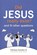 Did Jesus Really Exist?, Nikolaas (SJ) Sintobin SJ - Paperback - 9781788121217