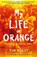 My Life in Orange, Tim Guest - Paperback - 9781788162098