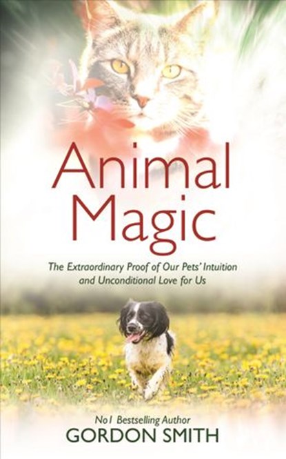 Animal Magic, Gordon Smith - Ebook - 9781788171038
