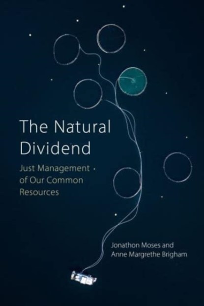 The Natural Dividend, PROFESSOR JONATHON (NORWEGIAN UNIVERSITY OF SCIENCE AND TECHNOLOGY) MOSES ; DR ANNE MARGRETHE (RURALIS,  Trondheim) Brigham - Paperback - 9781788214407
