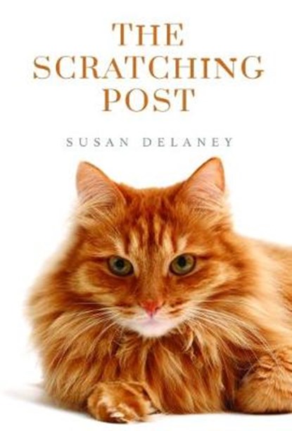 The Scratching Post, Susan Delaney - Paperback - 9781788300544