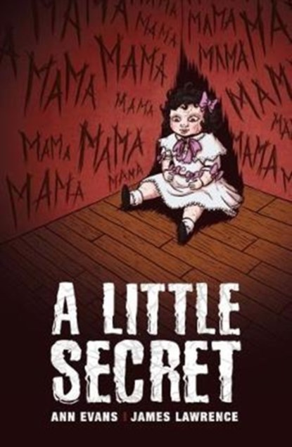 A Little Secret, Ann Evans - Paperback - 9781788372213