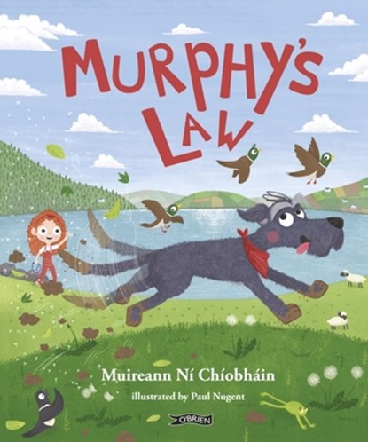 Murphy's Law, Muireann ni Chiobhain - Gebonden - 9781788492928