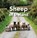 Sheep of Ireland, Sarah O'Connor - Gebonden - 9781788494182