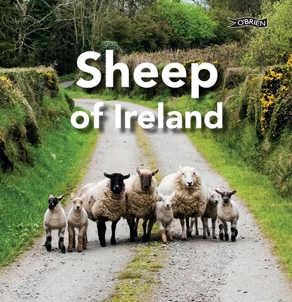 Sheep of Ireland, Sarah O'Connor - Gebonden - 9781788494182