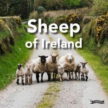 Sheep of Ireland, Sarah O'Connor - Gebonden - 9781788494182