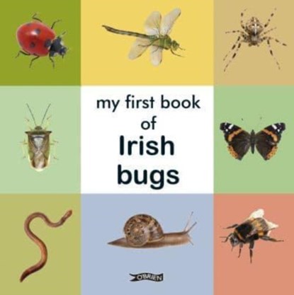 My First Book of Irish Bugs, niet bekend - Gebonden - 9781788494359