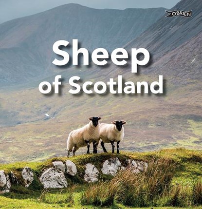Sheep of Scotland, Sarah O'Connor - Gebonden - 9781788495981