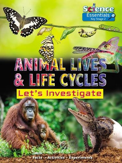 Animal Lives and Life Cycles, Ruth Owen - Paperback - 9781788560337