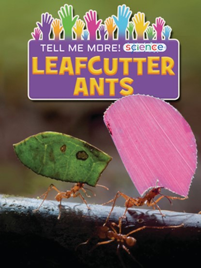 Leafcutter Ants, Ruth Owen - Paperback - 9781788561518