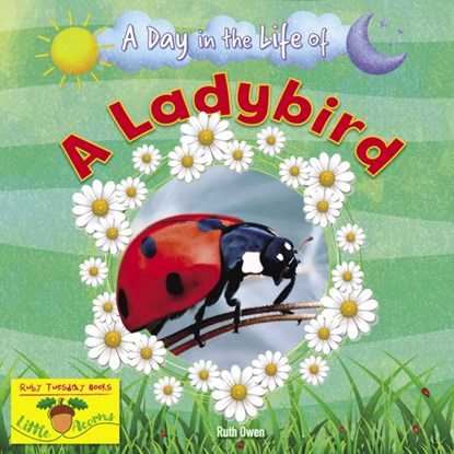 A Ladybird, Ruth Owen - Paperback - 9781788564397