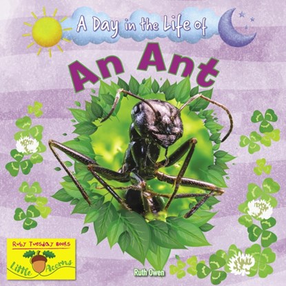 An Ant, Ruth Owen - Paperback - 9781788564403