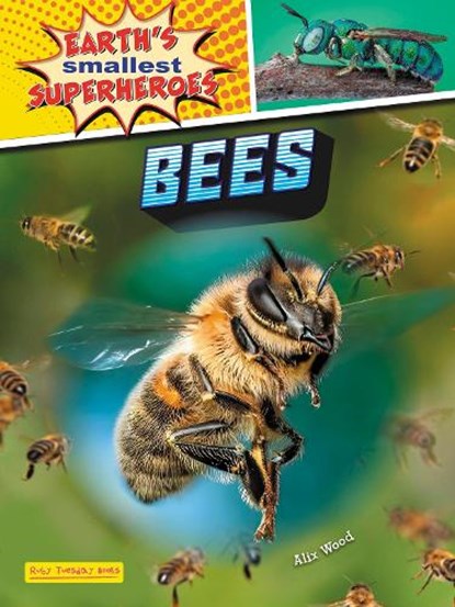 Bees, Alix Wood - Paperback - 9781788564472