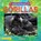 Gorillas, Ruth Owen - Paperback - 9781788566186