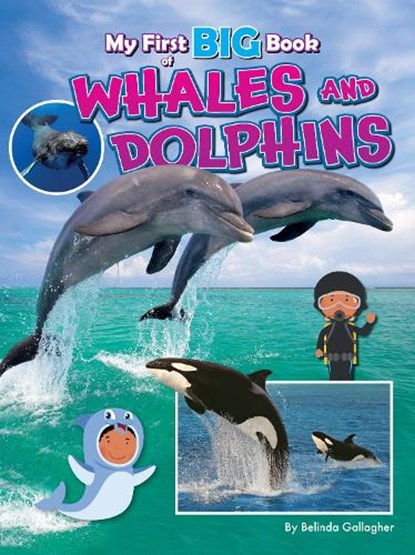 My First BIG Book of WHALES and DOLPHINS, Belinda Gallagher - Paperback - 9781788566421