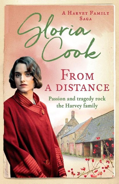 From A Distance, Gloria Cook - Paperback - 9781788631310