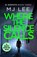 Where the Silence Calls, M J Lee - Paperback - 9781788635844