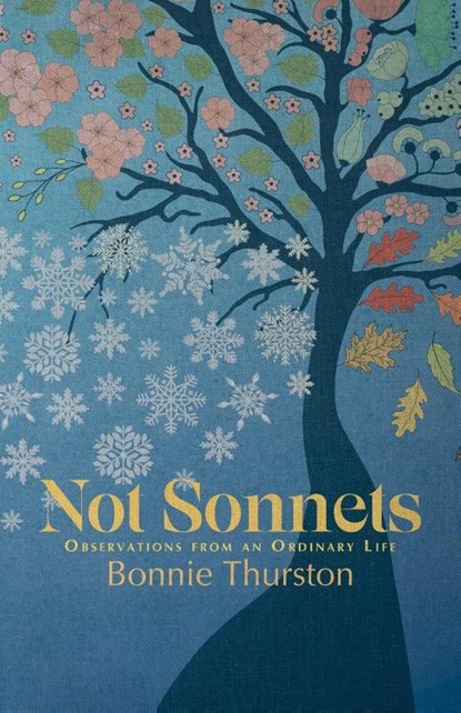Not Sonnets, Bonnie Thurston - Paperback - 9781788641289