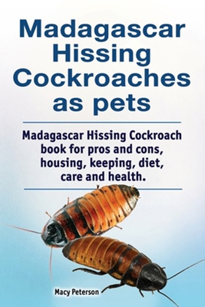 Madagascar hissing cockroaches as pets. Madagascar hissing cockroach book for pros and cons, housing, keeping, diet, care and health., Macy Peterson - Paperback - 9781788650946