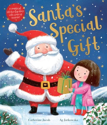 Santa's Special Gift, Catherine Jacob - Gebonden - 9781788814041