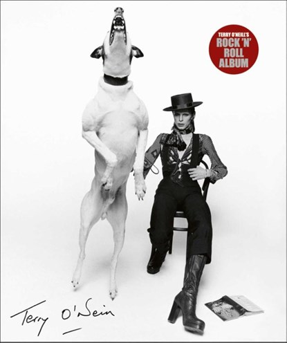 Terry O'Neill's Rock 'n' Roll Album, Terry O'Neill - Gebonden Gebonden - 9781788841948