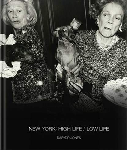 New York: High Life / Low Life, Dafydd Jones - Gebonden - 9781788842556