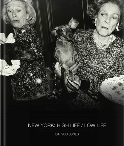 New York: High Life / Low Life, Dafydd Jones - Gebonden - 9781788842556