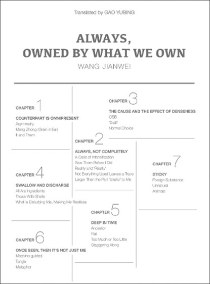 Always, Owned by What We Own, Wang Jianwei - Gebonden - 9781788842907