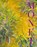 Monet, Marianne Mathieu - Gebonden - 9781788843799
