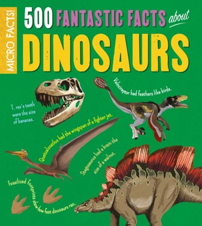Micro Facts!: 500 Fantastic Facts About Dinosaurs, Anne Rooney - Paperback - 9781788884990
