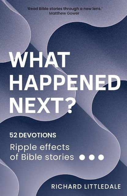 What Happened Next?, Richard Littledale - Paperback - 9781788933674