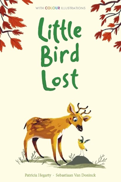 Little Bird Lost, Patricia Hegarty - Gebonden - 9781788951173