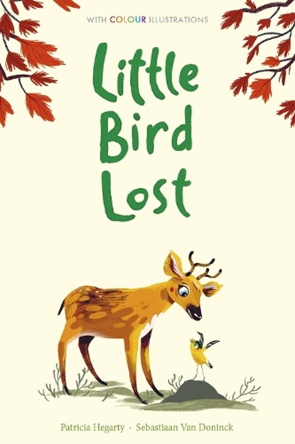 Little Bird Lost, Patricia Hegarty - Gebonden - 9781788951173