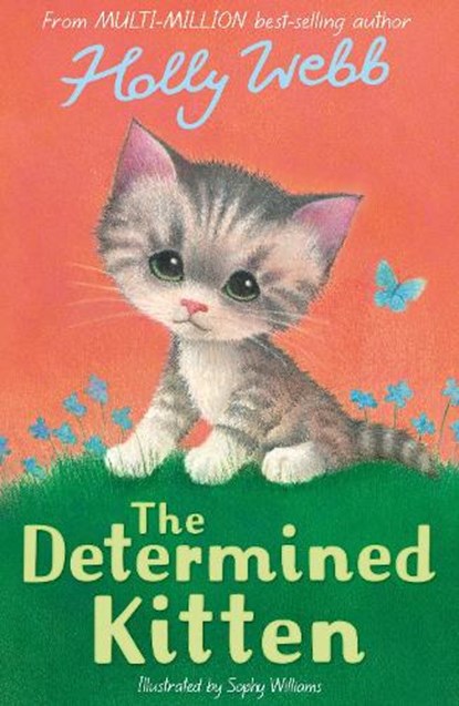 The Determined Kitten, Holly Webb - Paperback - 9781788956505
