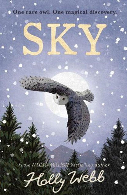 Sky, Holly Webb - Paperback - 9781788956581