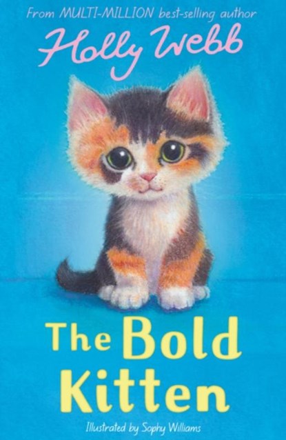 The Bold Kitten, Holly Webb - Paperback - 9781788957397