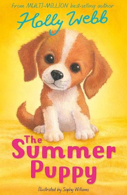 The Summer Puppy, Holly Webb - Paperback - 9781788957588