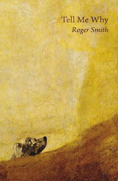 Tell Me Why, Roger Smith - Paperback - 9781789014037