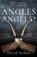 Angles or Angels?, David Stokes - Paperback - 9781789018400