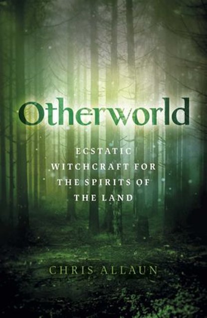 Otherworld, Chris Allaun - Ebook - 9781789045352
