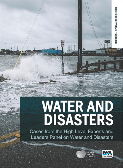 Water and Disasters, Jerome Delli Priscoli ; Kenzo Hiroki - Paperback - 9781789060782