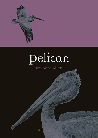 Pelican, ALLEN,  Barbara - Paperback - 9781789140750