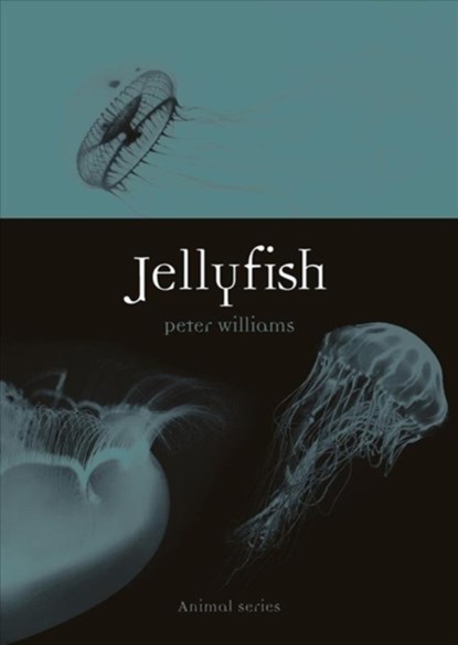 Jellyfish, Peter Williams - Paperback - 9781789142150