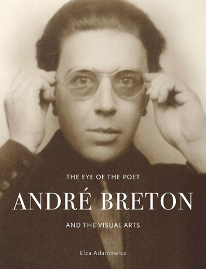 The Eye of the Poet, Elza Adamowicz - Gebonden - 9781789145311