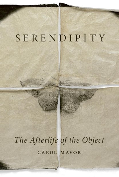 Serendipity, Carol Mavor - Gebonden - 9781789149500