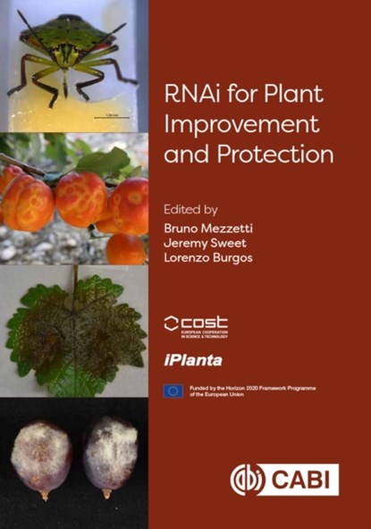 RNAi for Plant Improvement and Protection, Dr Bruno (Universita Politecnica delle Marche Mezzetti ; Jeremy (National Institute of Agricultural Botany (NIAB) Sweet ; Lorenzo (CEBAS-CSIC Burgos - Gebonden - 9781789248890