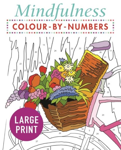 Mindfulness Colour-by-Numbers Large Print, Arcturus Publishing Limited - Paperback - 9781789500486