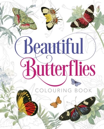 Beautiful Butterflies Colouring Book, Peter Gray - Paperback - 9781789502701