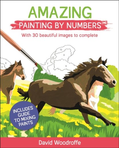 Amazing Painting by Numbers, David Woodroffe - Paperback - 9781789507935