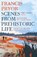 Scenes from Prehistoric Life, Francis Pryor - Paperback - 9781789544152